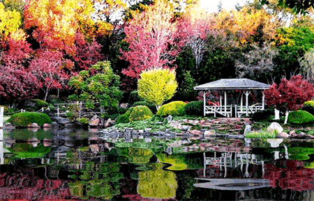 Gardens